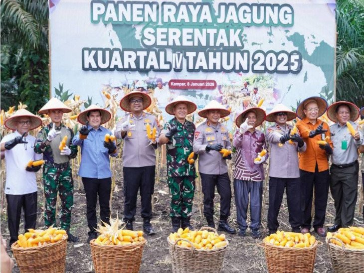 Bupati Kampar Dampingi Kapolda Riau Panen Jagung Serentak Kuartal IV Tahun 2025 Guna Perkuat Swasembada Pangan.